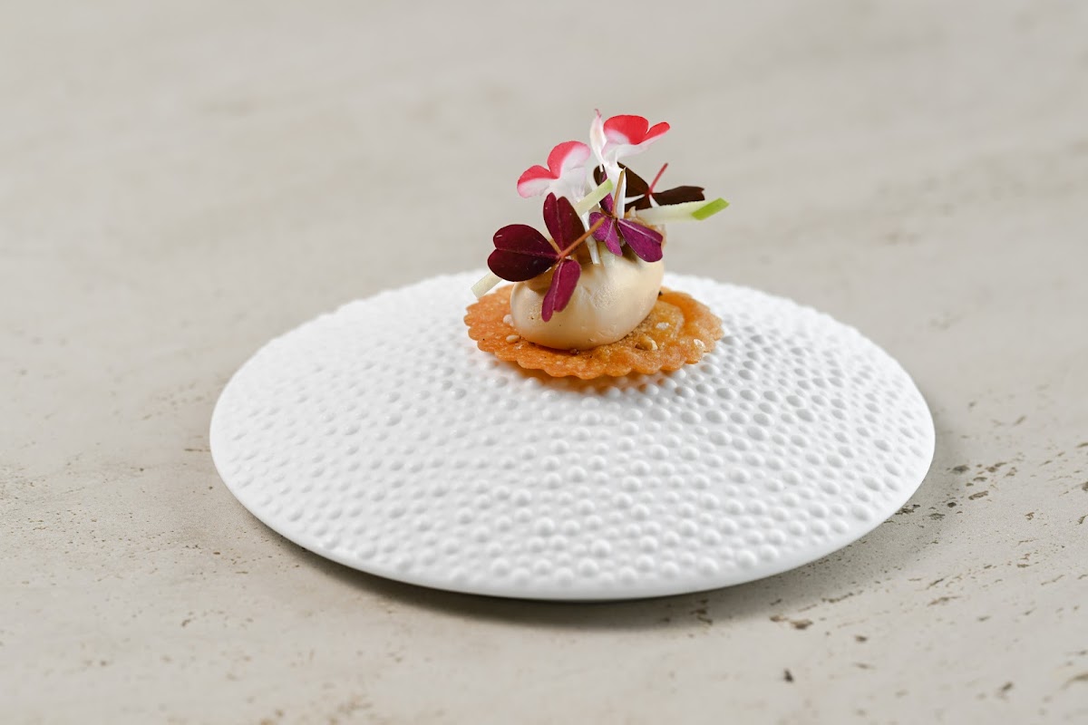 Innesto Zonhoven Photos 2